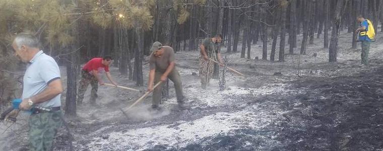 5 пожара в горски територии в Североизточна България от началото на годината