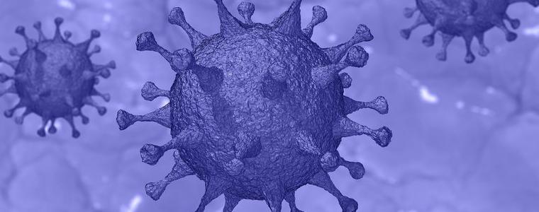 Активните  случаи на коронавирусна инфекция в община Генeraл Тошево са 28