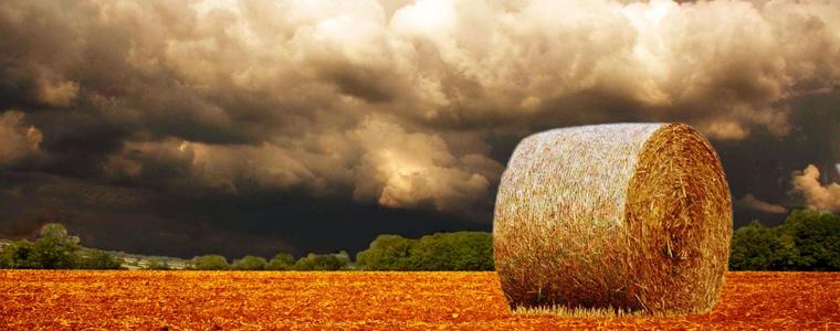 Прогноза за времето в неделя, 14 август