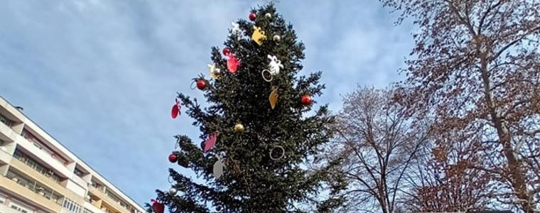 Коледната елха на Добрич ще грейне днес