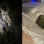 Добричките полицаи задържаха 55-годишен мъж за отглеждане на марихуана