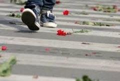 Броят на загиналите в пътнотранспортни произшествия в област Добрич нараства през 2024 г.