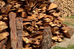 Над 7900 добруджанци кандидатстваха за помощи за отопление, 6600 вече са одобрени (АУДИО)