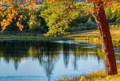 Прогноза за 3 ноември