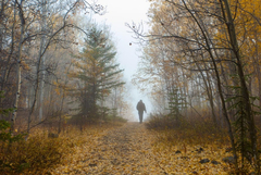 Прогноза за времето в понеделник, 1 декември