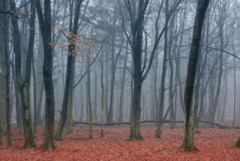 Прогноза за времето в понеделник, 17 ноември