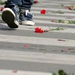 Броят на загиналите в пътнотранспортни произшествия в област Добрич нараства през 2024 г.