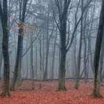 Прогноза за времето в понеделник, 17 ноември