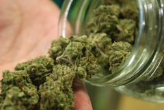 Задържаха 39-годишен мъж с канабис в село Смолница