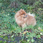 Прогноза за времето в петък, 12 декември