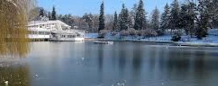 Прогноза за 11 януари