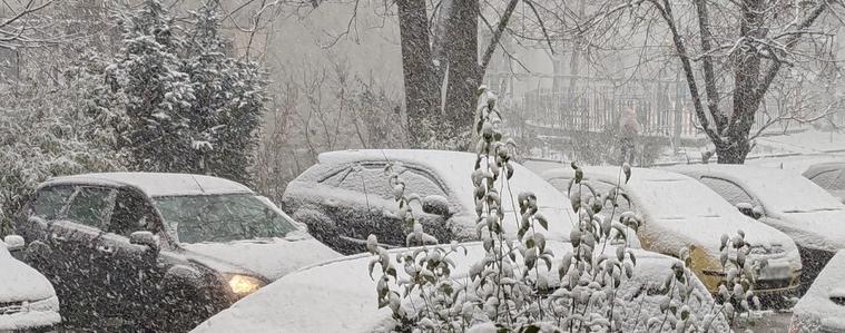 В Добрич: Вече има снегонавявания по улиците, започна и обработката на пътните настилки със соли