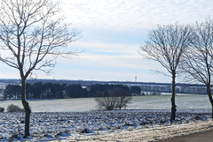 Очаква ни нетипично затопляне за януари