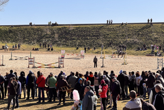 Община Добричка се готви за 50-ото издание на конната надпревара за Тодоровден