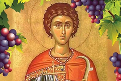 Православната църква почита паметта на св. Трифон