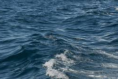 Басейнова дирекция - Варна е възложила изследване на водни проби от Шабленското езеро