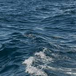 Басейнова дирекция - Варна е възложила изследване на водни проби от Шабленското езеро