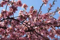 Прогноза за времето в понеделник, 6 април