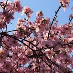 Прогноза за времето в понеделник, 6 април