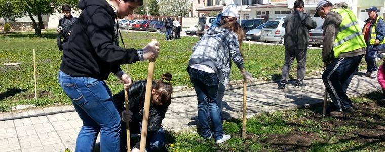 Ученици в Балчик засадиха 60 дръвчета и храсти