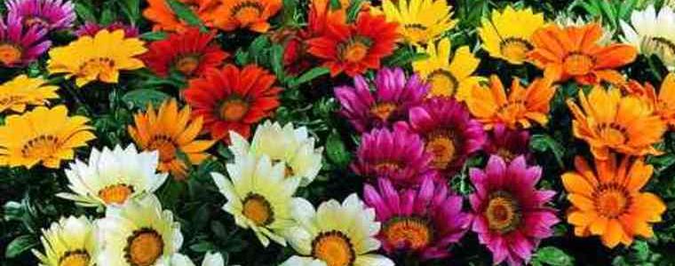 И утре слънчево и горещо