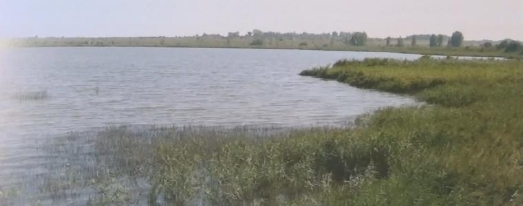 Каталог и мултимедия ще учат подрастващите кои са защитените видове в Добруджа (ВИДЕО)