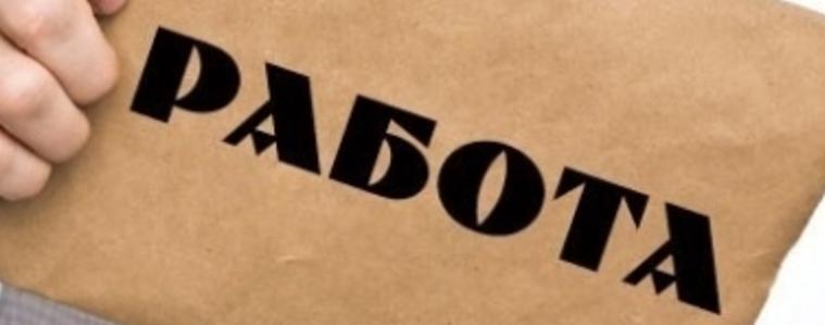 Нови работни места по проект „Подкрепа за заетост” 