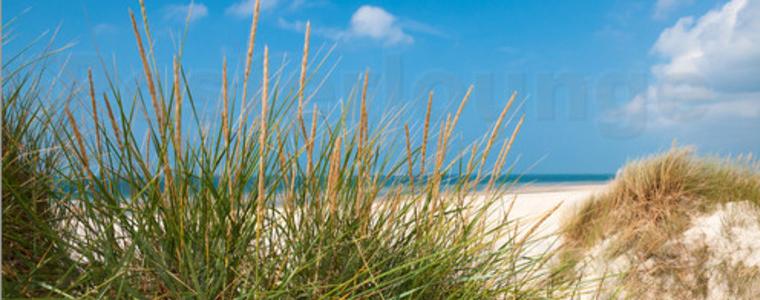 Температурата на морската вода ще стигне 25 градуса до неделя