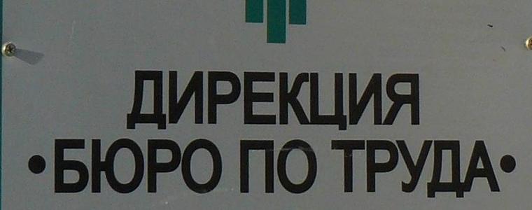 513 позиции обявени в Бюрото по труда