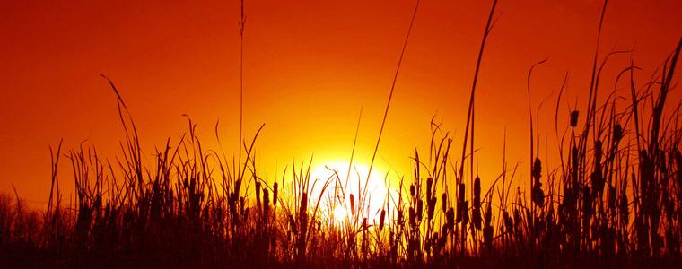 Утре – още по-горещо