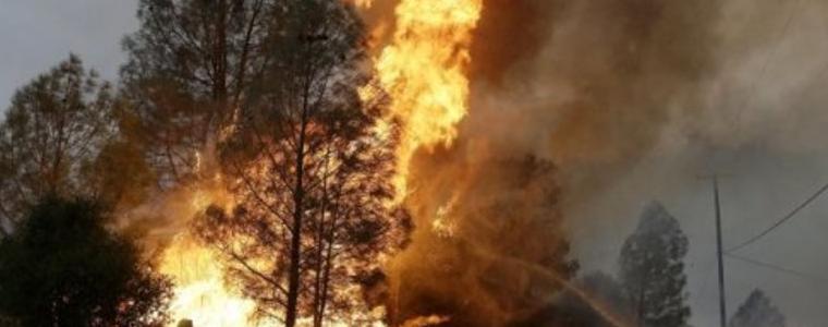 Извънредно положение в Калифорния, горят над 20 пожара  