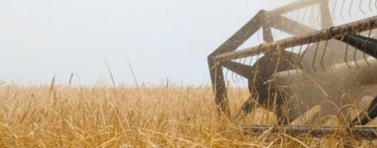 Жътвата приключи.Добивът с 60 кг. от дка повече от миналата година