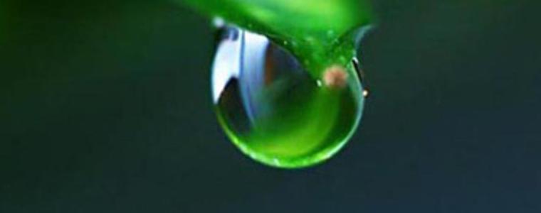 Места без вода в сряда