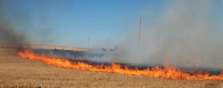 Червен код за опасност от пожари във Варна, Бургас и Добрич