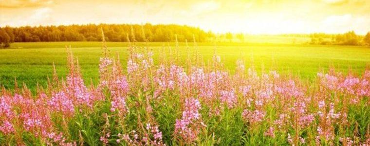 Отново слънчево в неделя