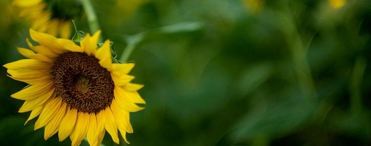 Прогноза за 27 август