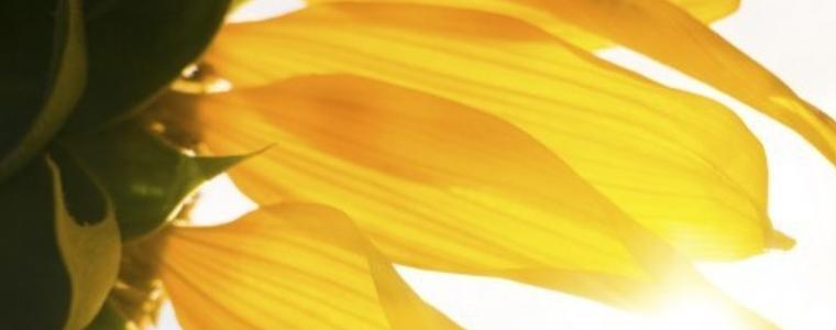 Прогноза за 8 август