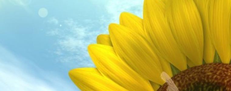 Прогноза за сряда, 12 август