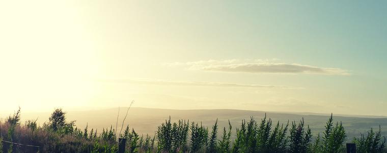 Времето на 26 август