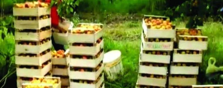 390 души са си намерили работа през август