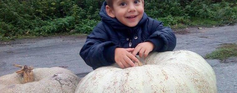 Празник на плодородието във Варна утре