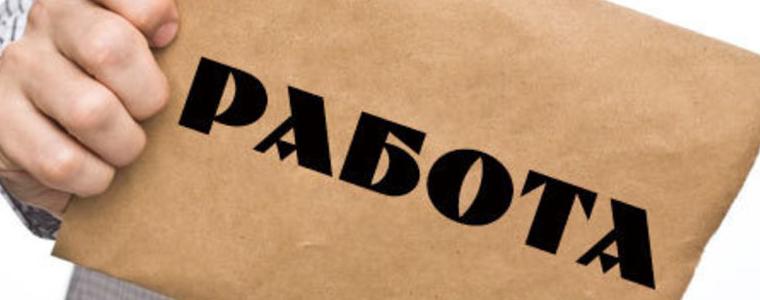 Продължава набиране на кандидати за работа по програма „Старт на кариерата”