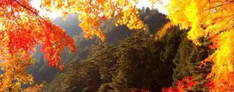 Прогноза за 18 октомври