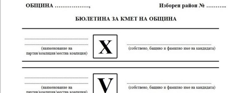 В Пчеларово забравили да извадят кашона с бюлетини за кмет 