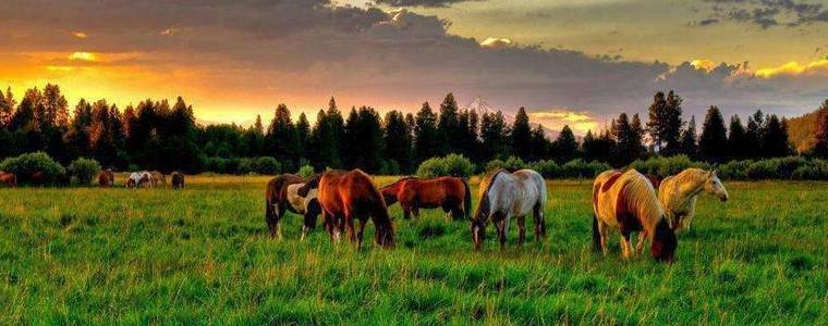 Времето до 22 октомври