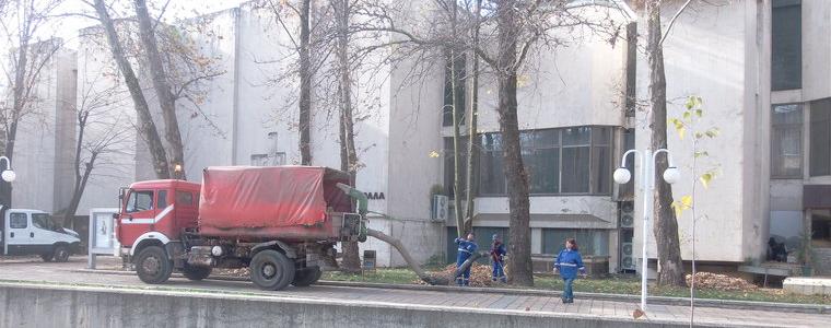 Есенните листа си намериха майстора