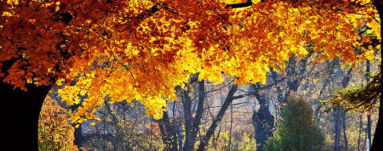 Прогноза за 11 ноември, сряда