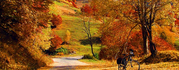 Нормална обстановка в областта, без аварии, но с намалена видимост