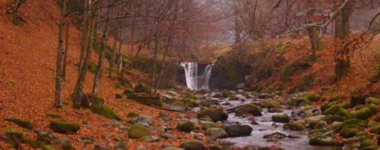 Прогноза за времето утре, 7 декември