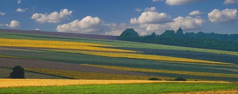 2015- добра за пшеницата, слаба за царевицата